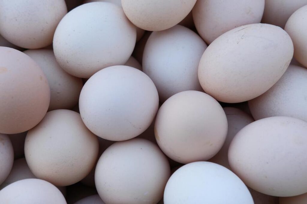 What Are the Best Protein Sources for Outdoor Cooking?